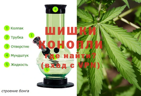 трава Михайловск