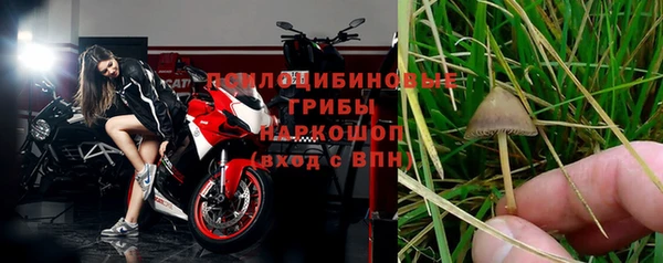 трава Михайловск